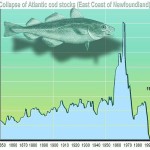 Our Debt-Capacity Fishery
